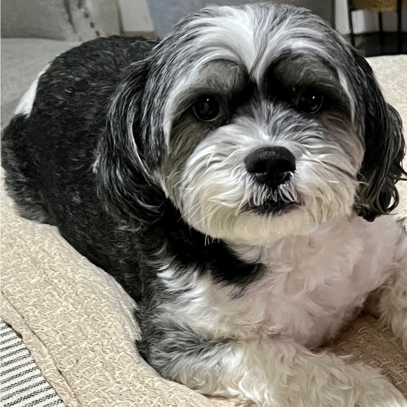 Meet your Posher, Agnieszka - Picture 13 of 15